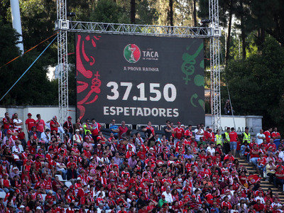 Benfica v Rio Ave Final da Taa de Portugal 2013/14