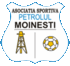 Petrolul Moinesti