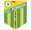Foresta Falticeni