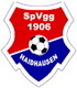 SpVgg Haidhausen